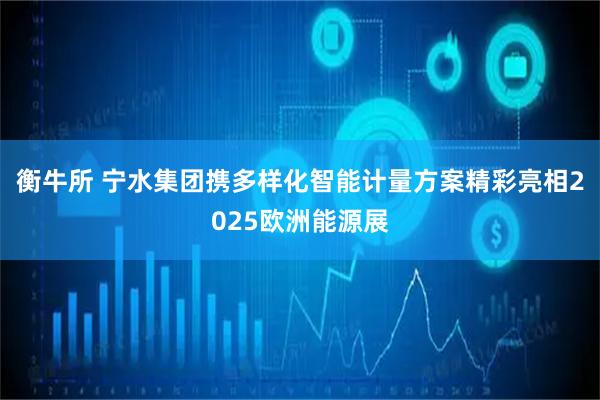 衡牛所 宁水集团携多样化智能计量方案精彩亮相2025欧洲能源展
