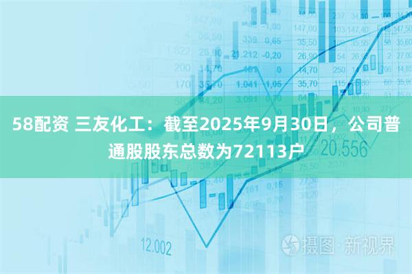 58配资 三友化工：截至2025年9月30日，公司普通股股东总数为72113户