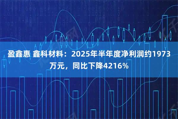 盈鑫惠 鑫科材料：2025年半年度净利润约1973万元，同比下降4216%
