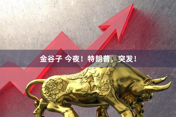 金谷子 今夜！特朗普，突发！